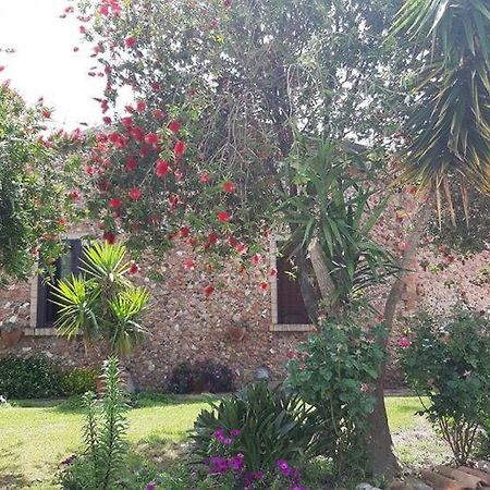 Agriturismo Pingitore Luzzi Εξωτερικό φωτογραφία