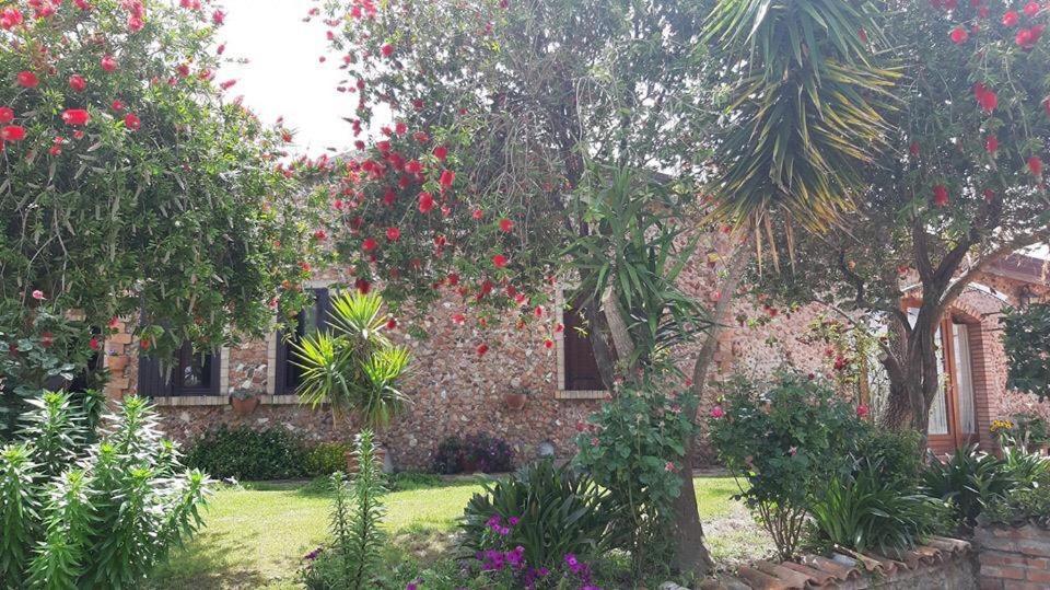 Agriturismo Pingitore Luzzi Εξωτερικό φωτογραφία