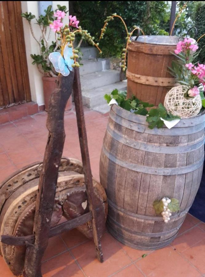 Agriturismo Pingitore Luzzi Εξωτερικό φωτογραφία