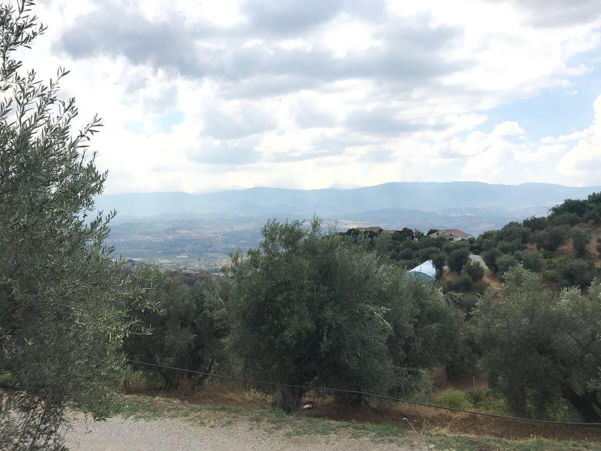 Agriturismo Pingitore Luzzi Εξωτερικό φωτογραφία