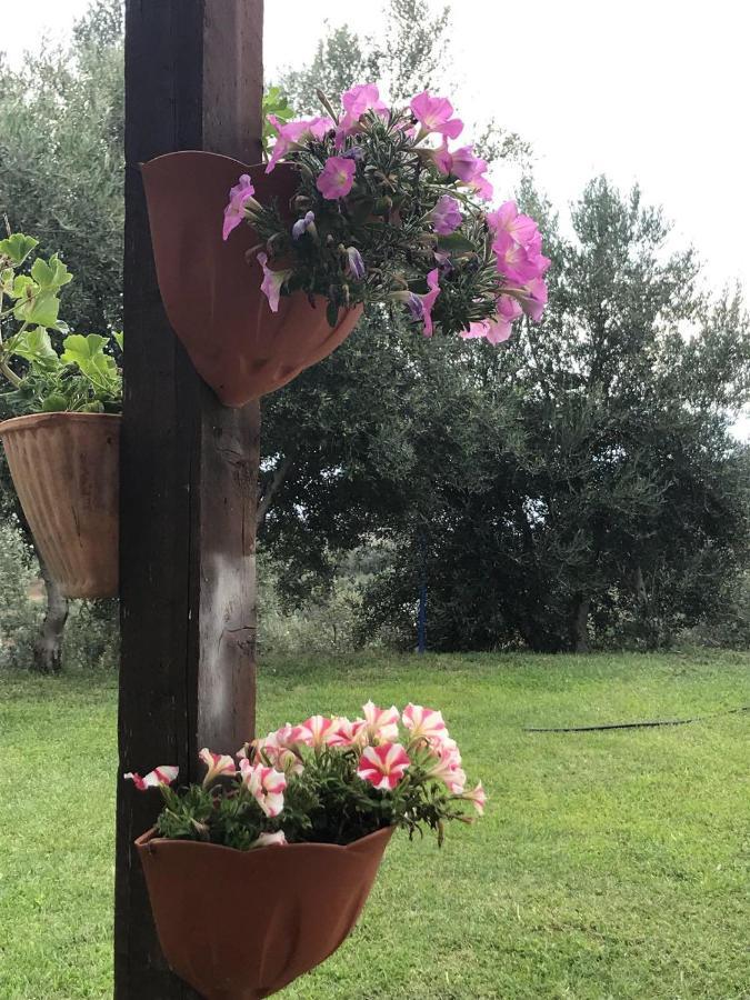 Agriturismo Pingitore Luzzi Εξωτερικό φωτογραφία