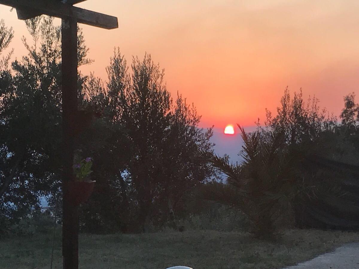 Agriturismo Pingitore Luzzi Εξωτερικό φωτογραφία