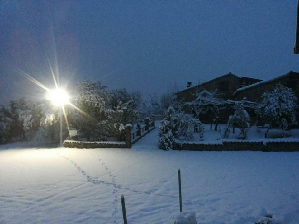 Agriturismo Pingitore Luzzi Εξωτερικό φωτογραφία