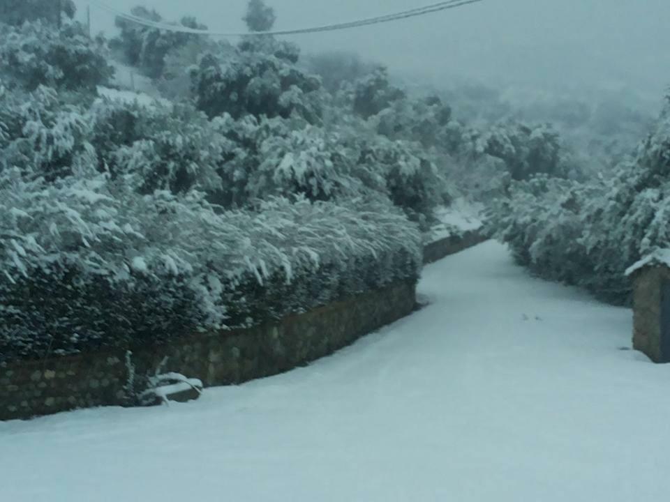 Agriturismo Pingitore Luzzi Εξωτερικό φωτογραφία