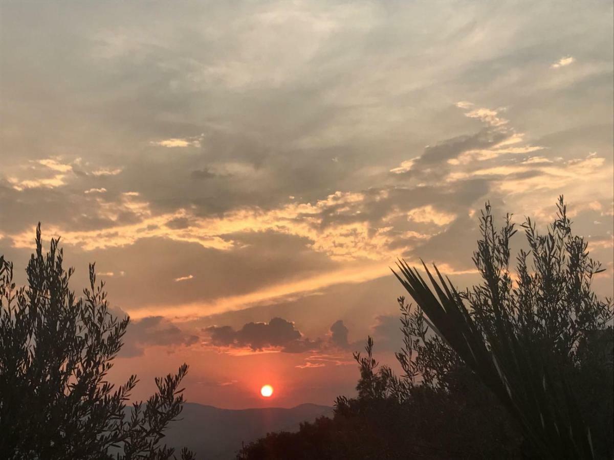 Agriturismo Pingitore Luzzi Εξωτερικό φωτογραφία